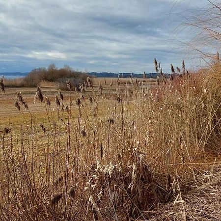 Tiny X Im Marxhof Seebruck Am Chiemsee Seeon-Seebruck Luaran gambar
